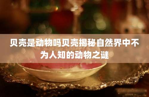 贝壳是动物吗贝壳揭秘自然界中不为人知的动物之谜