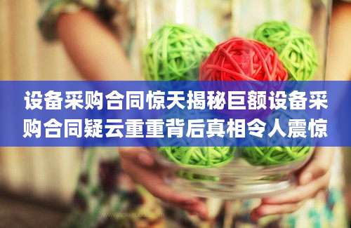 设备采购合同惊天揭秘巨额设备采购合同疑云重重背后真相令人震惊