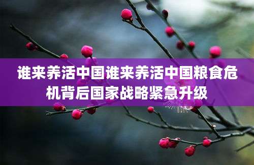 谁来养活中国谁来养活中国粮食危机背后国家战略紧急升级