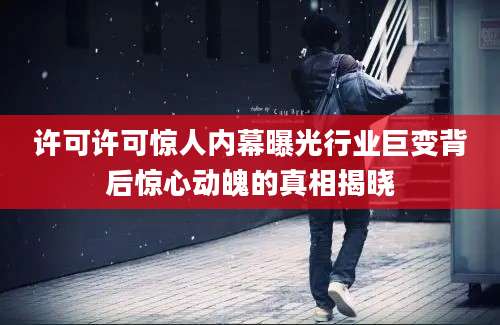许可许可惊人内幕曝光行业巨变背后惊心动魄的真相揭晓