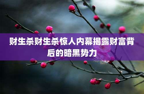 财生杀财生杀惊人内幕揭露财富背后的暗黑势力