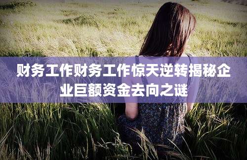 财务工作财务工作惊天逆转揭秘企业巨额资金去向之谜