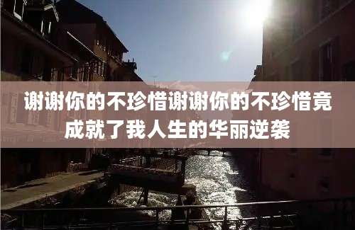 谢谢你的不珍惜谢谢你的不珍惜竟成就了我人生的华丽逆袭