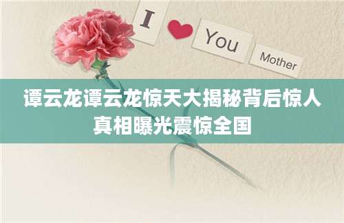 谭云龙谭云龙惊天大揭秘背后惊人真相曝光震惊全国
