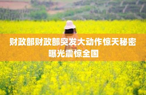 财政部财政部突发大动作惊天秘密曝光震惊全国