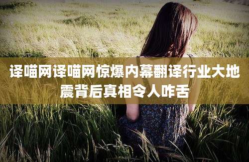 译喵网译喵网惊爆内幕翻译行业大地震背后真相令人咋舌