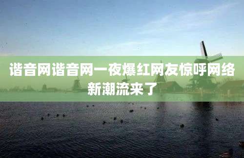 谐音网谐音网一夜爆红网友惊呼网络新潮流来了