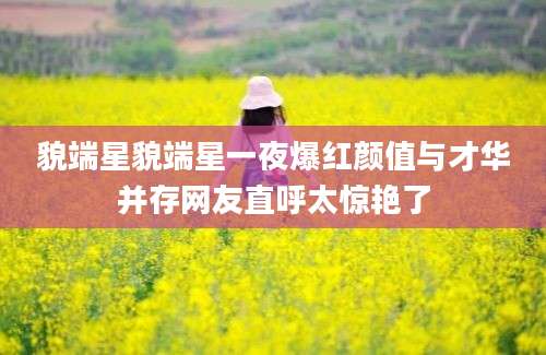 貌端星貌端星一夜爆红颜值与才华并存网友直呼太惊艳了