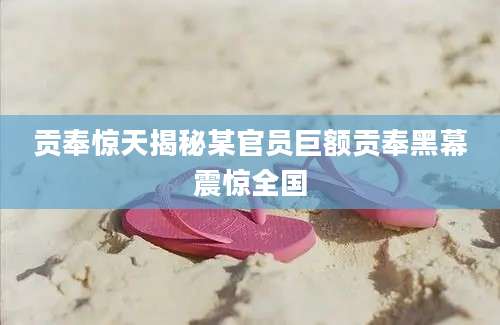 贡奉惊天揭秘某官员巨额贡奉黑幕震惊全国