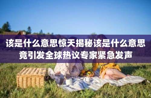 该是什么意思惊天揭秘该是什么意思竟引发全球热议专家紧急发声