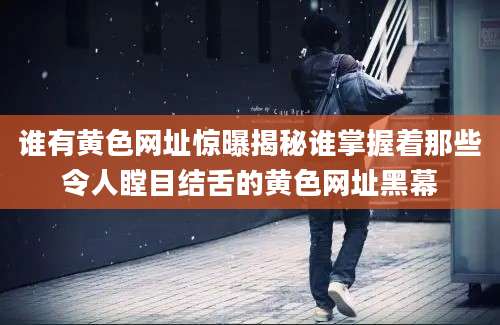 谁有黄色网址惊曝揭秘谁掌握着那些令人瞠目结舌的黄色网址黑幕