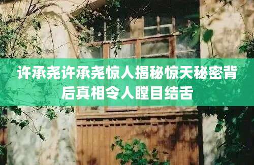 许承尧许承尧惊人揭秘惊天秘密背后真相令人瞠目结舌