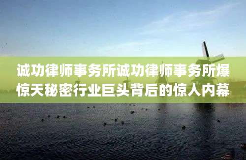 诚功律师事务所诚功律师事务所爆惊天秘密行业巨头背后的惊人内幕