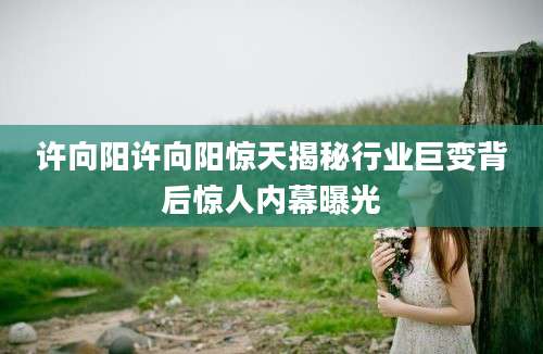 许向阳许向阳惊天揭秘行业巨变背后惊人内幕曝光
