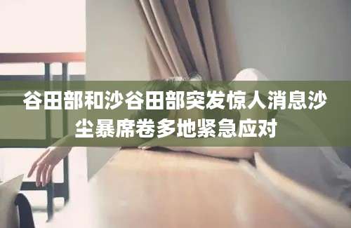 谷田部和沙谷田部突发惊人消息沙尘暴席卷多地紧急应对