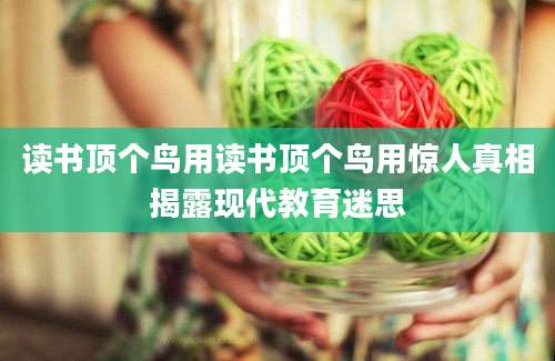 读书顶个鸟用读书顶个鸟用惊人真相揭露现代教育迷思