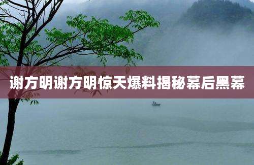 谢方明谢方明惊天爆料揭秘幕后黑幕