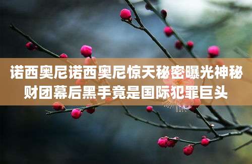 诺西奥尼诺西奥尼惊天秘密曝光神秘财团幕后黑手竟是国际犯罪巨头