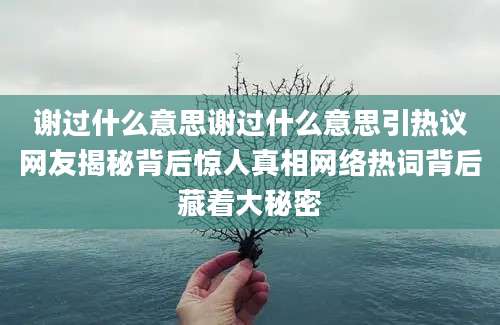 谢过什么意思谢过什么意思引热议网友揭秘背后惊人真相网络热词背后藏着大秘密