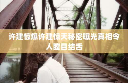 许建惊爆许建惊天秘密曝光真相令人瞠目结舌