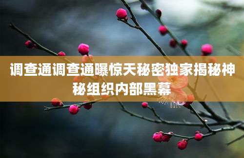 调查通调查通曝惊天秘密独家揭秘神秘组织内部黑幕