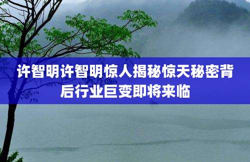 许智明许智明惊人揭秘惊天秘密背后行业巨变即将来临