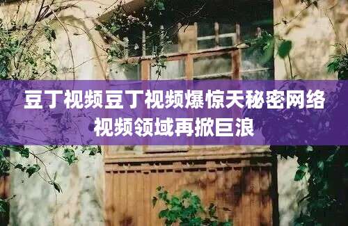 豆丁视频豆丁视频爆惊天秘密网络视频领域再掀巨浪