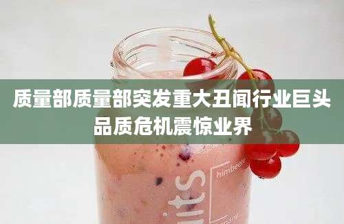 质量部质量部突发重大丑闻行业巨头品质危机震惊业界