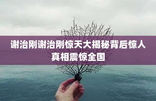 谢治刚谢治刚惊天大揭秘背后惊人真相震惊全国