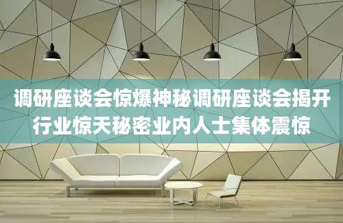 调研座谈会惊爆神秘调研座谈会揭开行业惊天秘密业内人士集体震惊