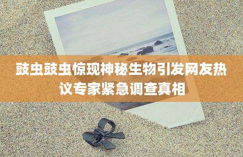 豉虫豉虫惊现神秘生物引发网友热议专家紧急调查真相