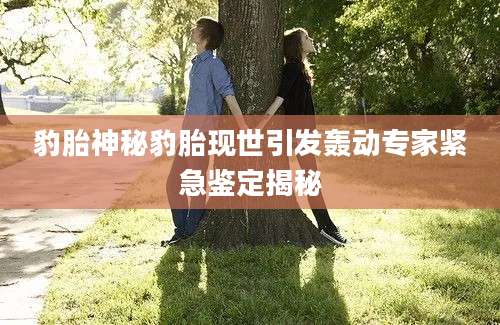 豹胎神秘豹胎现世引发轰动专家紧急鉴定揭秘