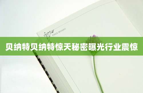 贝纳特贝纳特惊天秘密曝光行业震惊