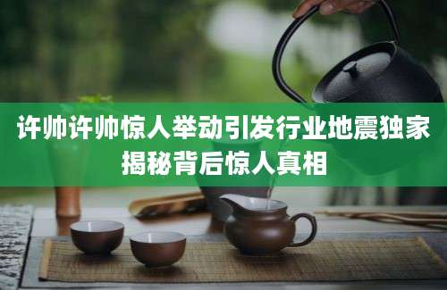 许帅许帅惊人举动引发行业地震独家揭秘背后惊人真相