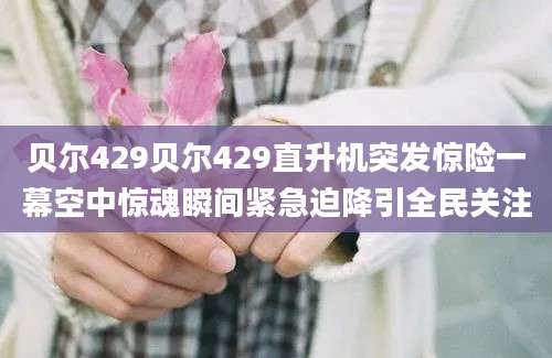 贝尔429贝尔429直升机突发惊险一幕空中惊魂瞬间紧急迫降引全民关注