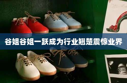 谷姐谷姐一跃成为行业翘楚震惊业界