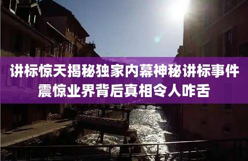 讲标惊天揭秘独家内幕神秘讲标事件震惊业界背后真相令人咋舌