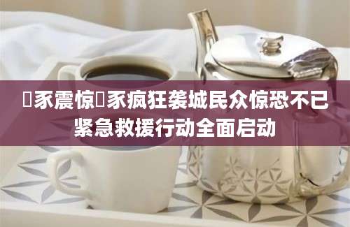 豮豕震惊豮豕疯狂袭城民众惊恐不已紧急救援行动全面启动