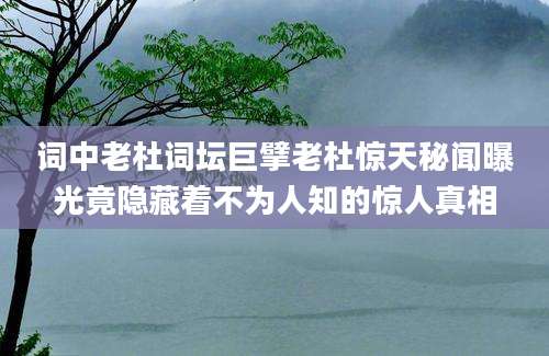 词中老杜词坛巨擘老杜惊天秘闻曝光竟隐藏着不为人知的惊人真相