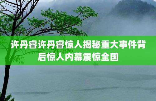 许丹睿许丹睿惊人揭秘重大事件背后惊人内幕震惊全国