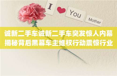 诚新二手车诚新二手车突发惊人内幕揭秘背后黑幕车主维权行动震惊行业