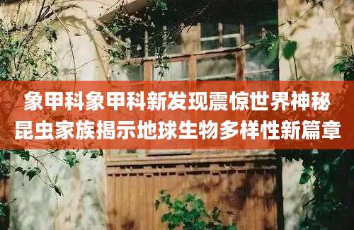 象甲科象甲科新发现震惊世界神秘昆虫家族揭示地球生物多样性新篇章