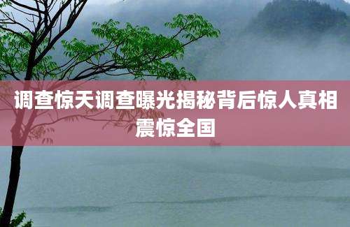 调查惊天调查曝光揭秘背后惊人真相震惊全国