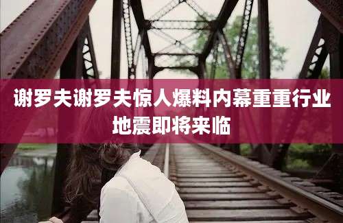 谢罗夫谢罗夫惊人爆料内幕重重行业地震即将来临