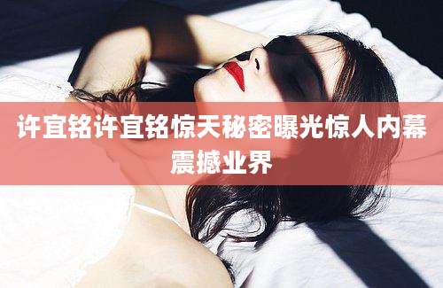 许宜铭许宜铭惊天秘密曝光惊人内幕震撼业界