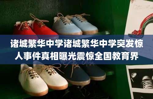 诸城繁华中学诸城繁华中学突发惊人事件真相曝光震惊全国教育界