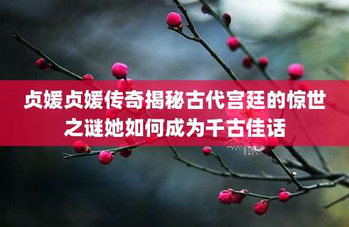 贞媛贞媛传奇揭秘古代宫廷的惊世之谜她如何成为千古佳话