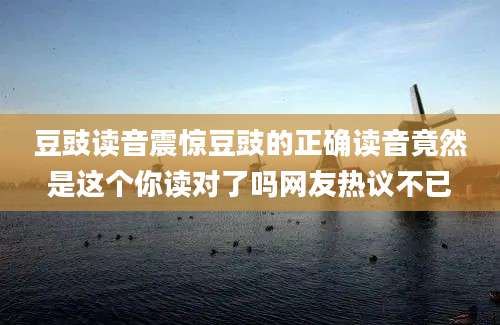 豆豉读音震惊豆豉的正确读音竟然是这个你读对了吗网友热议不已