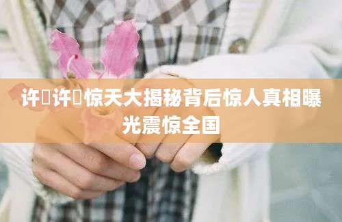 许弢许弢惊天大揭秘背后惊人真相曝光震惊全国