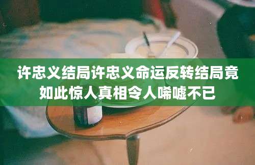 许忠义结局许忠义命运反转结局竟如此惊人真相令人唏嘘不已